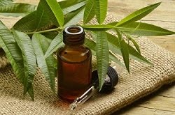 tea tree oil: home remedy for acne