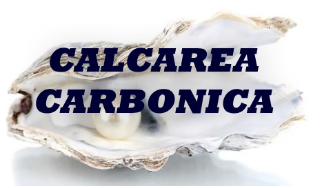 Calcarea Carbonica  for weight loss, female disease, ejaculation etc.